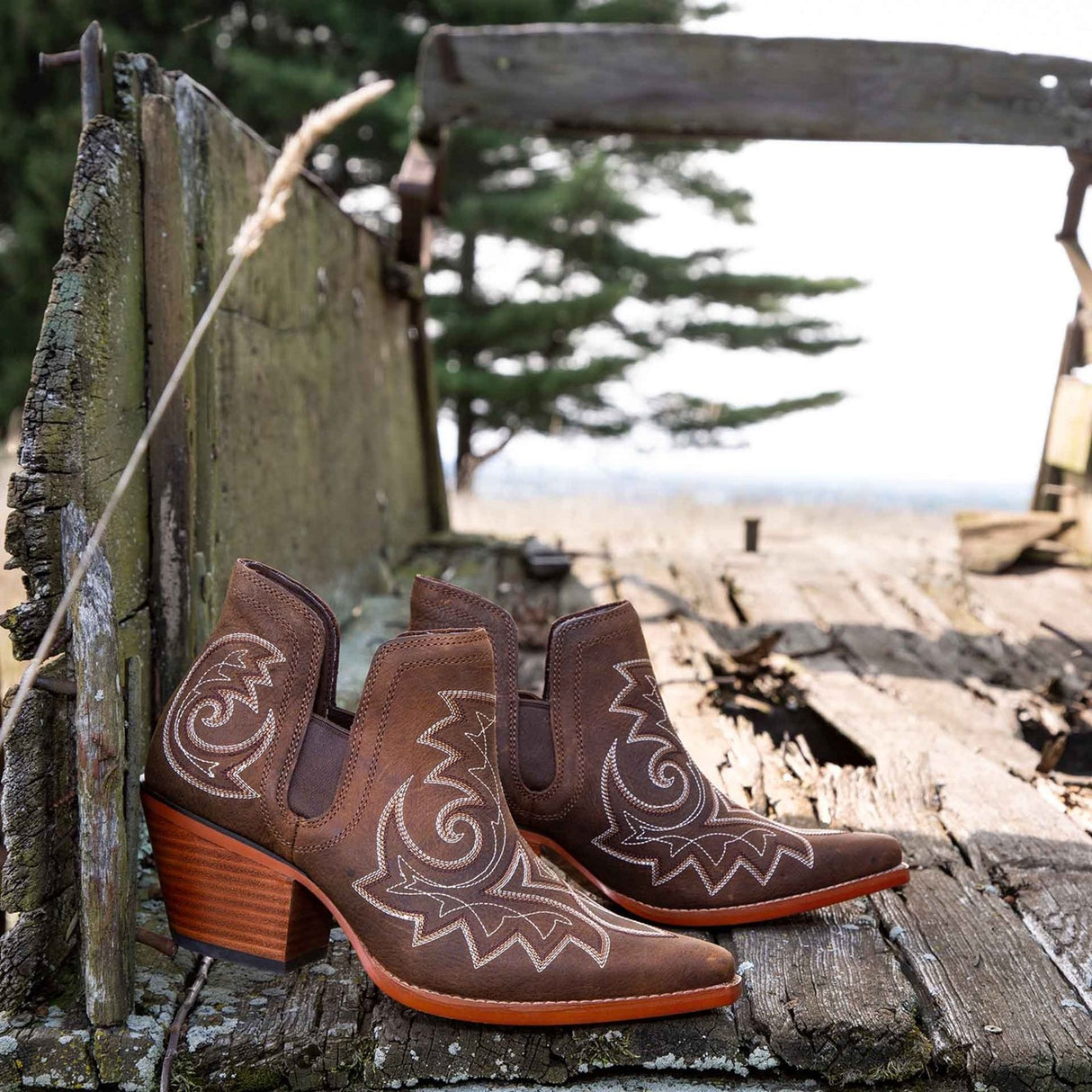 Damen Crush Westernstiefel Kaffeebraun